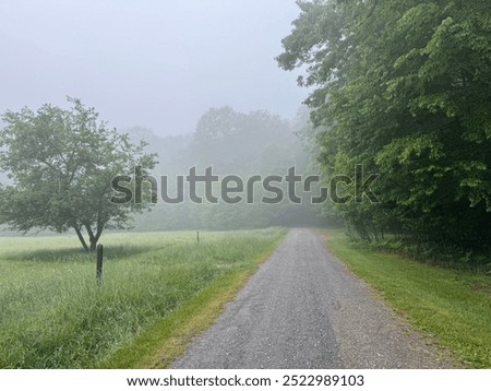 Similar – Image, Stock Photo Foggy morning in the Harz Mountains