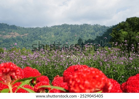 Similar – Image, Stock Photo sometimes there are no words…