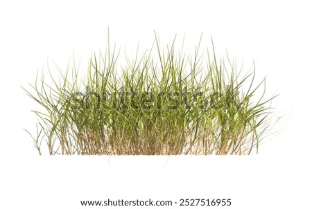 Similar – Image, Stock Photo Wild grasses Grass