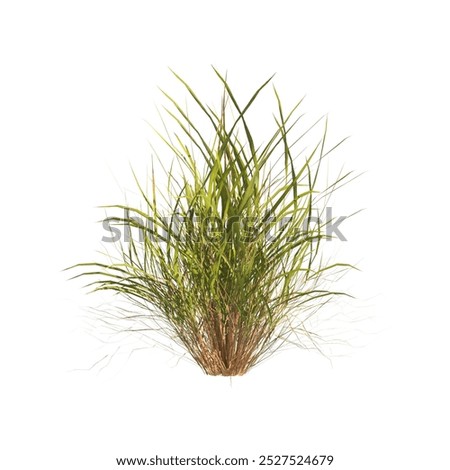 Similar – Image, Stock Photo Wild grasses in the dunes