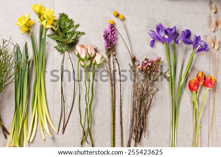 set of flowers for making bouquet with instrument