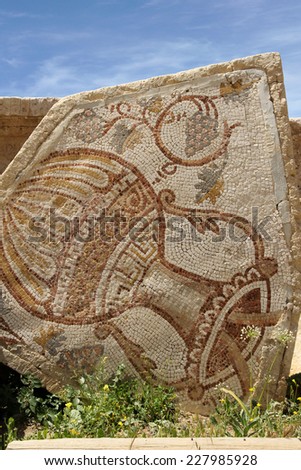 An old Roman mosaic with wine jar and grape
