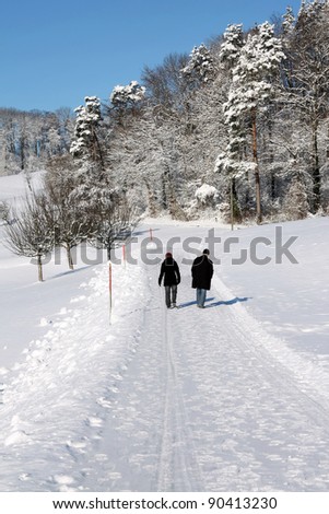 Walking in the snow in the countryside