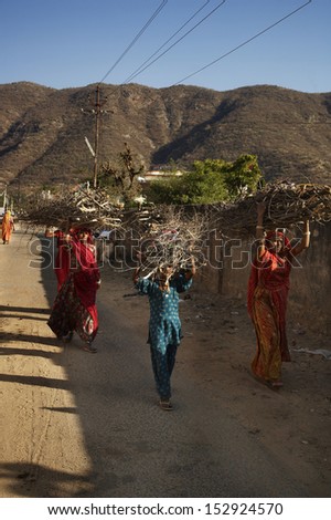 India, Rajasthan, Pushkar, indian women carrying wood branchs on their heads