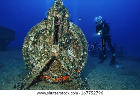 Italy, Ponza Island, Tyrrhenian sea, U.W. photo, wreck diving, sunken ship