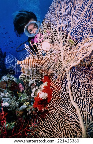 SUDAN, Red Sea, U.W photo, diver and a Scorpion fish (Pterois volitans) - FILM STAR