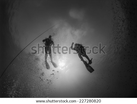 Mediterranean Sea, U.W. photo, scuba divers decompressing after a deep dive - FILM SCAN