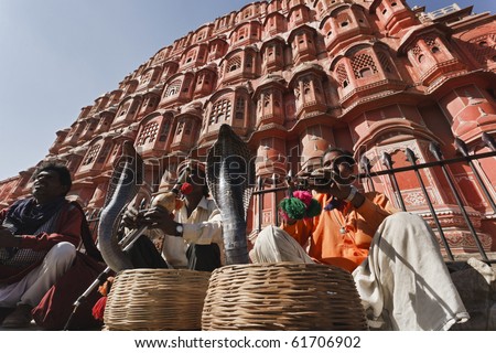 India. Rajasthan, Jaipur, snake charmers make two king cobras (Ophiophagus hannah) dance in front of the Winds Palace