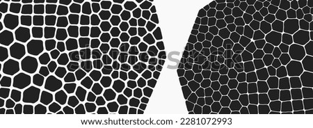 Abstract science background with fantasy cells. Cross section or microscopic view. Biology. Organic texture. 3d technology style with particle. Vector illustration for design.