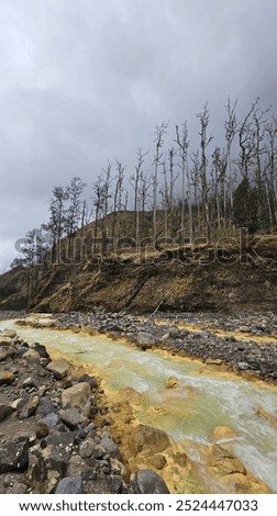 Similar – Image, Stock Photo Dead tree above the Achensee in Tirol in Austria