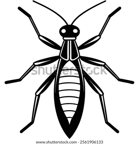 Water Strider insect flat vector illustration on white background