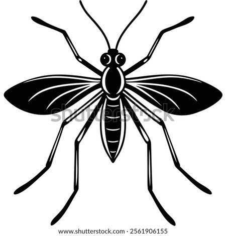 Water Strider insect flat vector illustration on white background