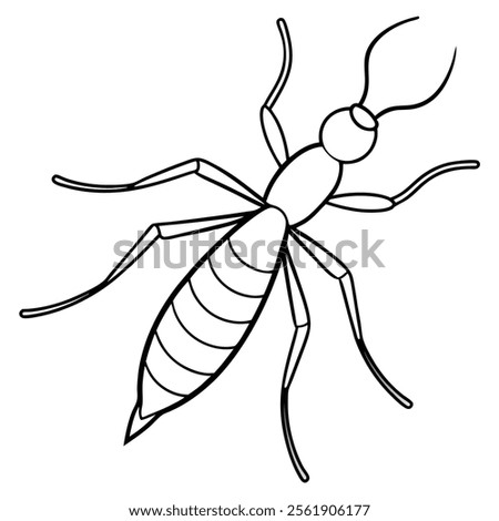 Water Strider insect flat vector illustration on white background