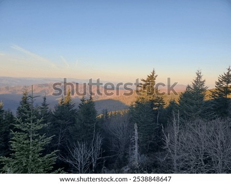 Similar – Foto Bild Kurz nach Sonnenaufgang im Wald