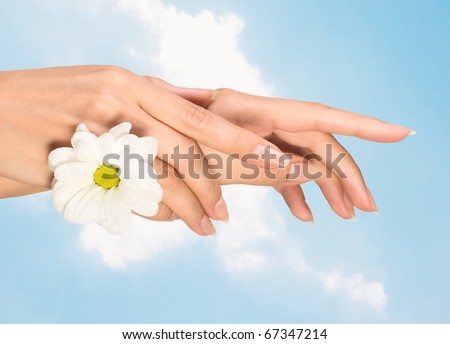 image of beautiful female hands with flower.Focus on the front