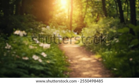 Image, Stock Photo Nature trail in a wetland area