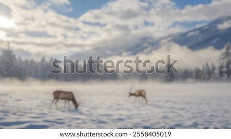 Similar – Image, Stock Photo Wild deer grazing in forest