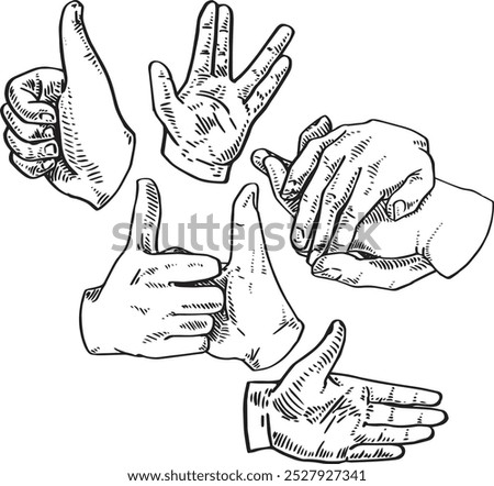 Hand gestures - hand drawn realistic vector illustration set