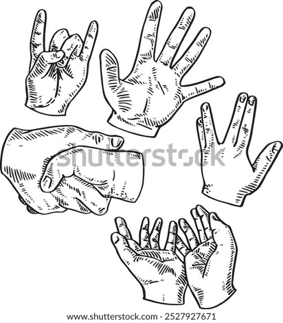 Hand gestures - hand drawn realistic vector illustration set