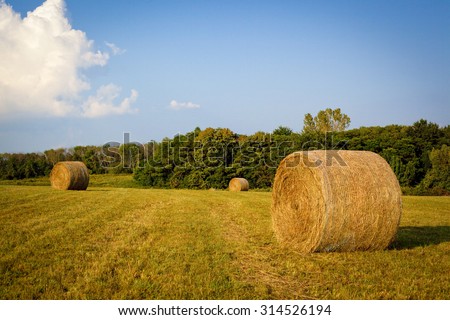 Peaceful scene of Kentucky field with hay bales