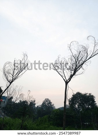 Similar – Image, Stock Photo Two dead trees by a muddy lake shore