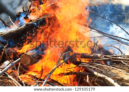 Large bonfire burning at the beach