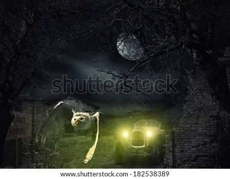 Dark and scary Haunted Mansion with owl in flight at full moon