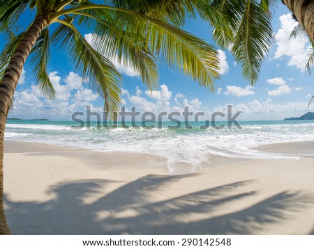tropical beach with coconut palm. Maeman beach, koh Samui, Thailand