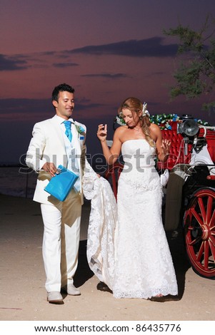 Beach wedding: bride and groom and carriage by the sea