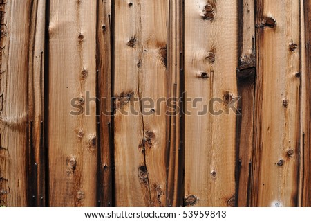Old Western Knotty Pine Wood Background