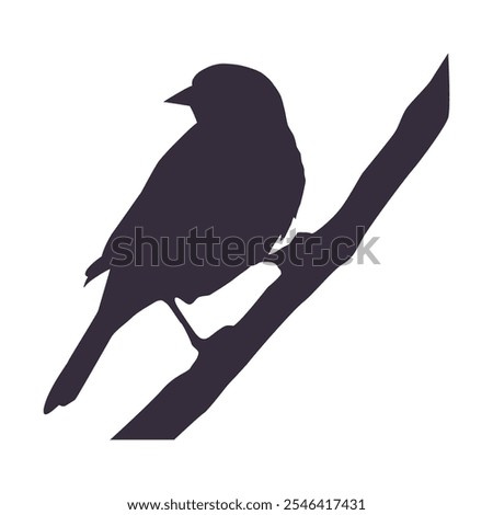 Bird Silhouette Vector Bird Outline Drawing Bird Isolated Clip Art Design Illustration On White Background