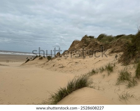 Similar – Image, Stock Photo Sandy Formby Beach  near Liverpool on a sunny day