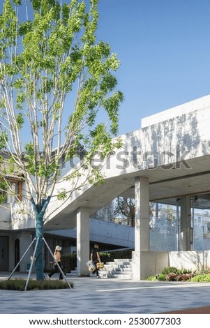 Similar – Image, Stock Photo Facade with shadow Branch