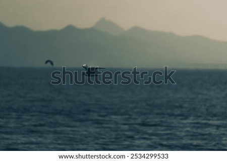 Similar – Image, Stock Photo Scenic sunset over peaceful sea and hilly shores