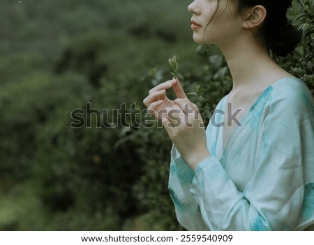 Similar – Image, Stock Photo Asian woman in lush rice field