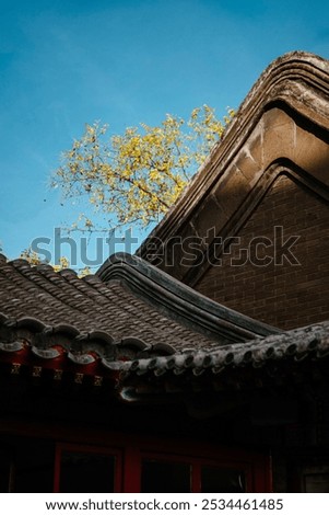 Similar – Image, Stock Photo autumn meeting Plant Sky