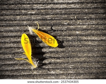 Similar – Image, Stock Photo Fragment (2) Art Nature