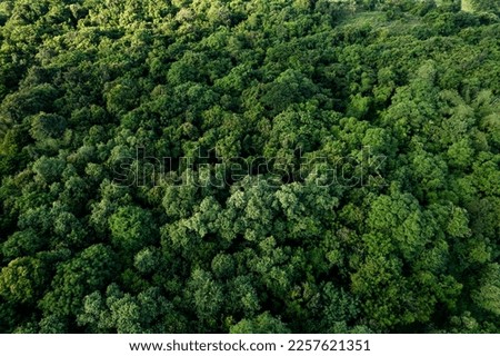 Similar – Image, Stock Photo Aerial View Of Misty Autumn Field And Forest Landscape. Top View Of Empty Clean Field In Sunny Sunrise Morning. Drone View  Bird’s Eye View. High Attitude