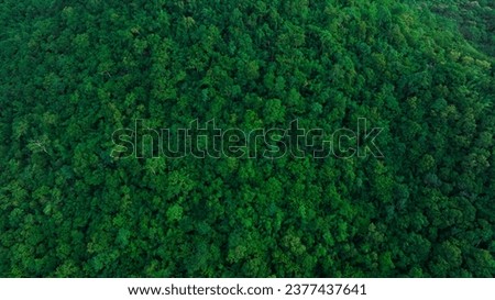 Similar – Image, Stock Photo Aerial View Of Deciduous Trees Without Foliage Leaves In Landscape At Early Spring. Top Flat View From High Attitude. Natural Backdrop Background Of European Woods And Their Shadows. Drone View