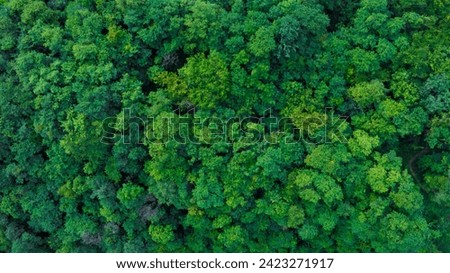 Similar – Image, Stock Photo Aerial View Of Deciduous Trees Without Foliage Leaves In Landscape At Early Spring. Top Flat View From High Attitude. Natural Backdrop Background Of European Woods And Their Shadows. Drone View