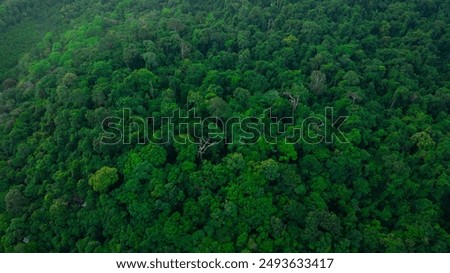 Similar – Image, Stock Photo Aerial View Of Deciduous Trees Without Foliage Leaves In Landscape At Early Spring. Top Flat View From High Attitude. Natural Backdrop Background Of European Woods And Their Shadows. Drone View