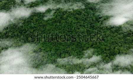 Similar – Image, Stock Photo Aerial View Of Misty Autumn Field And Forest Landscape. Top View Of Empty Clean Field In Sunny Sunrise Morning. Drone View  Bird’s Eye View. High Attitude