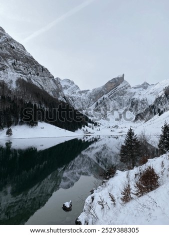 Similar – Image, Stock Photo Lake Seealpsee in the afternoon