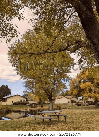 Similar – Image, Stock Photo nice evening in countryside