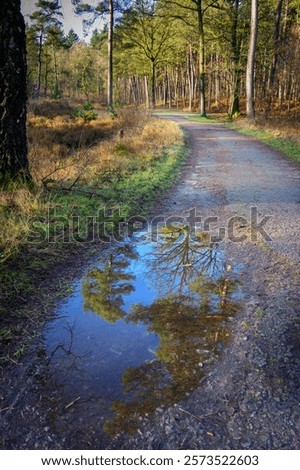 Similar – Image, Stock Photo mirror of nature Puddle