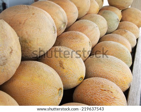 Rows of luscious, ripe cantaloupes for sales at a roadside fruit stand in the countryside.