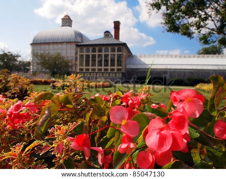 A flower bed containing begonias and coleus plants outside the Druid Hill Conservatory and Botanic Gardens in Baltimore, MD.