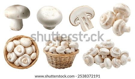 Similar – Image, Stock Photo Fresh Champignon mushrooms on gray table