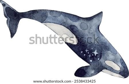 A black killer whale with stars painted on its body