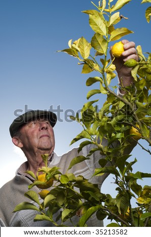 Sad senior man next to lemon tree